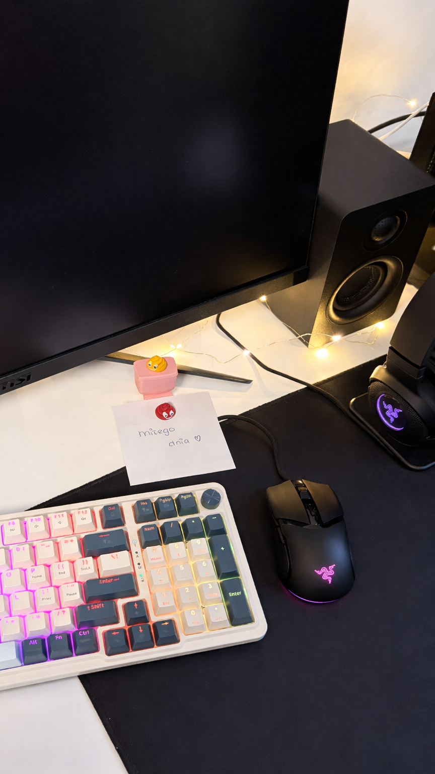 Magnetyczny tron dla kup